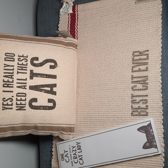 Crazy Cat Lady Gift Set Funny Pillow Cat Placemat Magnetic List Pat Cotton - Picture 1 of 10